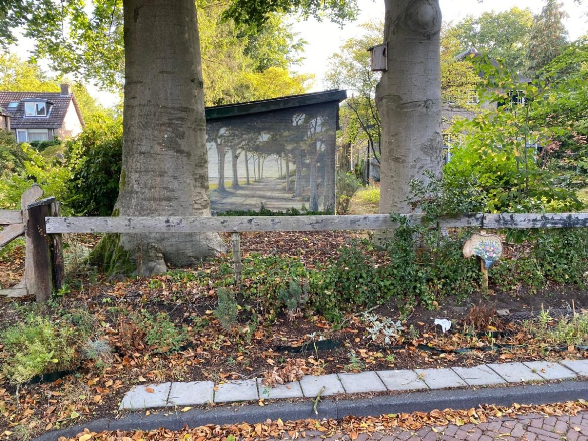 Vrijdag: 3873x bekeken +Top 10 meest gelezen berichten