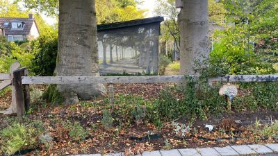 Vrijdag: 3873x bekeken +Top 10 meest gelezen berichten