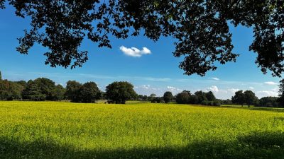Maandag: 3738x bekeken +Top 10 meest gelezen berichten