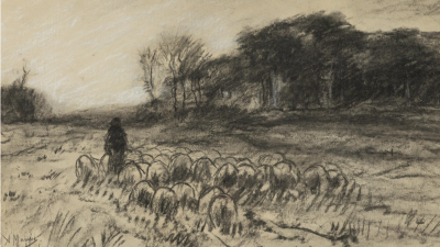 Vrijdag: 5551x bekeken +Top 10 meest gelezen berichten