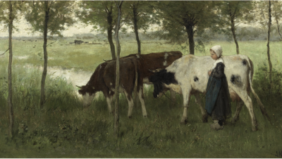 Woensdag:2856x bekeken +Top 10 meest gelezen berichten