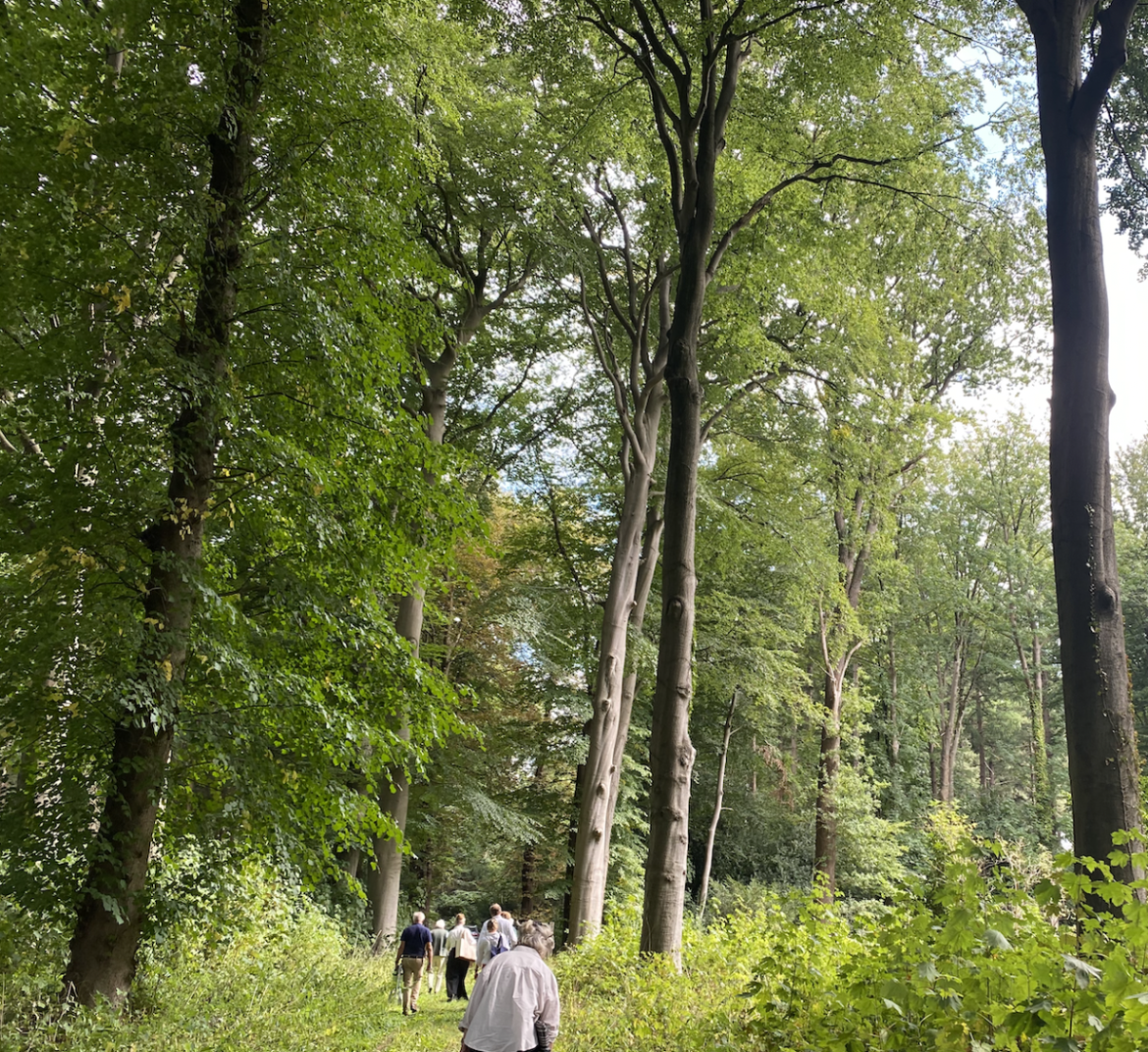 Wandeling over landgoed Larenberg