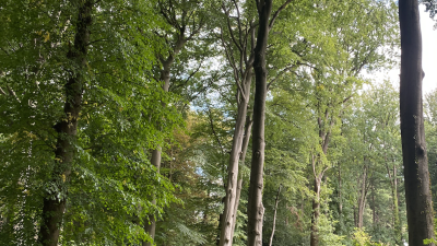 Wandeling over landgoed Larenberg