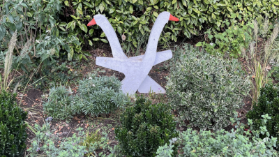 Nieuwe snavels voor Bettie’s ganzen