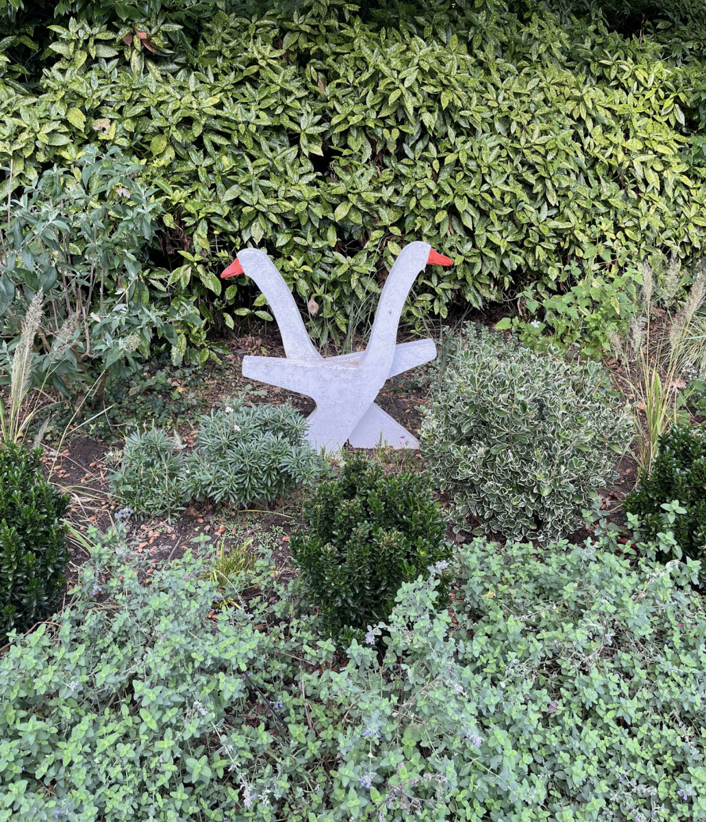 Nieuwe snavels voor Bettie’s ganzen