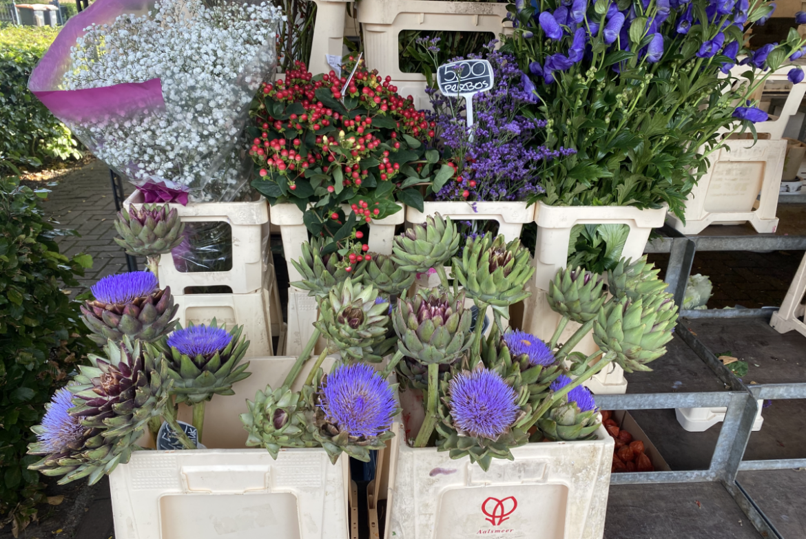 Woensdag: 1392 x bekeken +Top 10 meest gelezen berichten