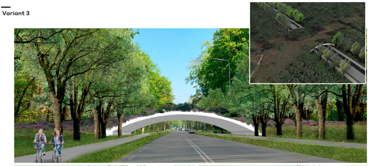 Laren kiest voor elegante natuurbrug tussen de Westerheide en de Zuiderheide