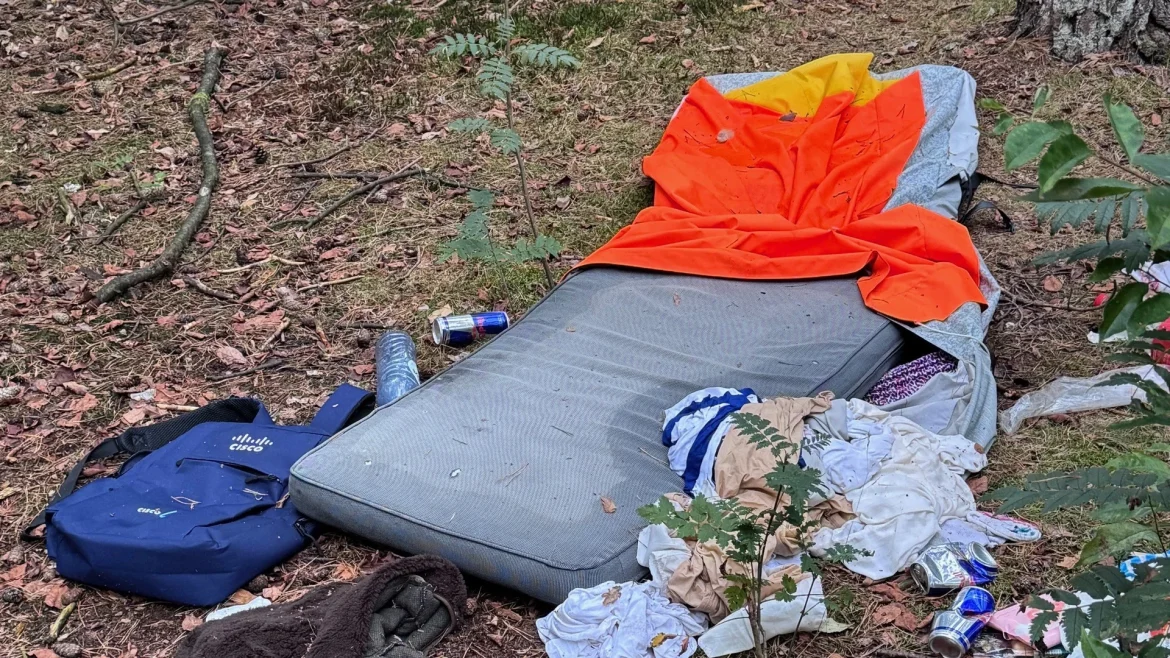 Column: Slapen in het bos