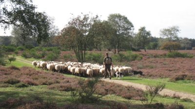 Heb jij een mooie foto gemaakt?