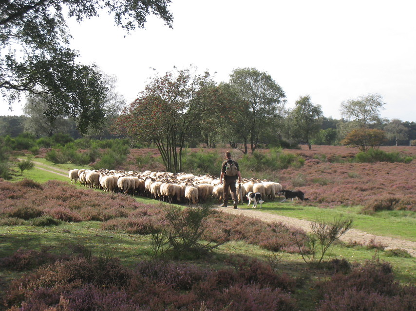 Heb jij een mooie foto gemaakt?
