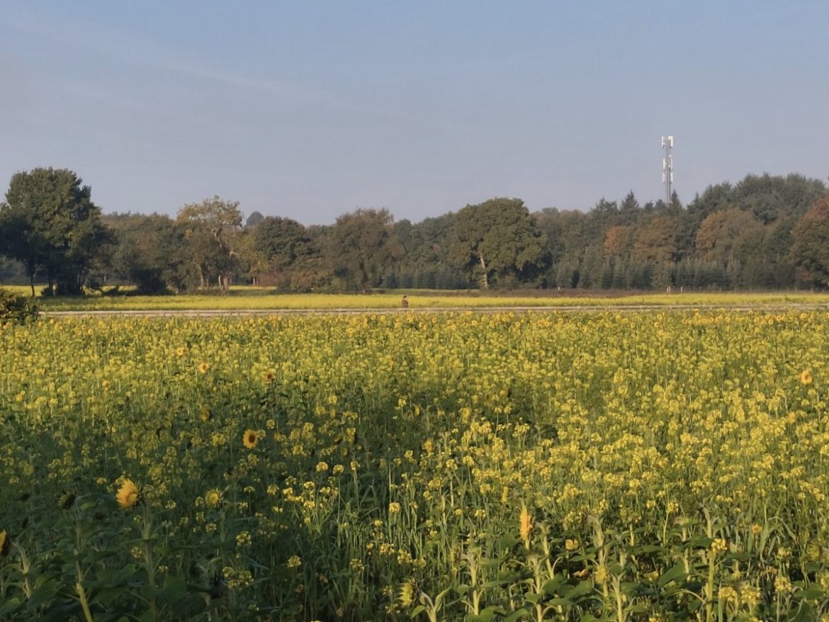Donderdag:1794x bekeken +Top 10 meest gelezen berichten