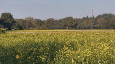 Donderdag:1794x bekeken +Top 10 meest gelezen berichten