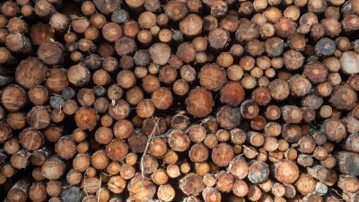 Let op: 23 okt. afsluiting Crailoseweg (# N527)