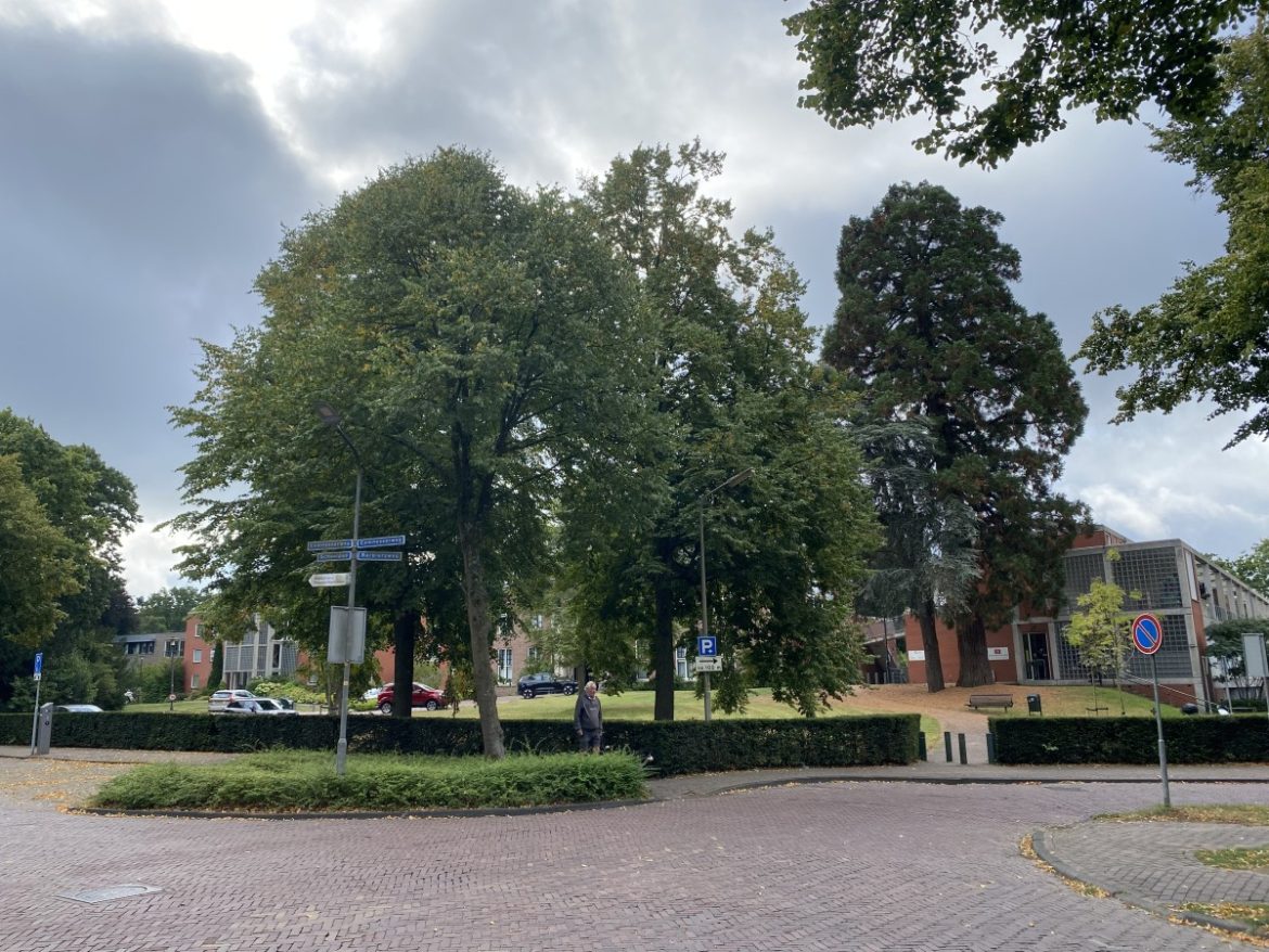 Larense bewoners in verzet tegen verkeersplan Eemnesserweg-West: ’Onze zorgen zijn van tafel geveegd’