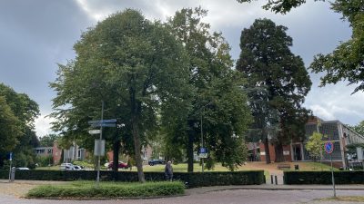 Larense bewoners in verzet tegen verkeersplan Eemnesserweg-West: ’Onze zorgen zijn van tafel geveegd’