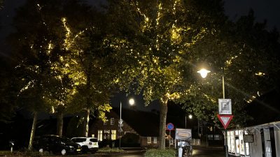 Put on the Xmas lights…