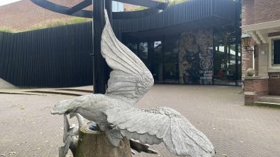 Vrijdag;2331x bekeken +Top 10 meest gelezen berichten