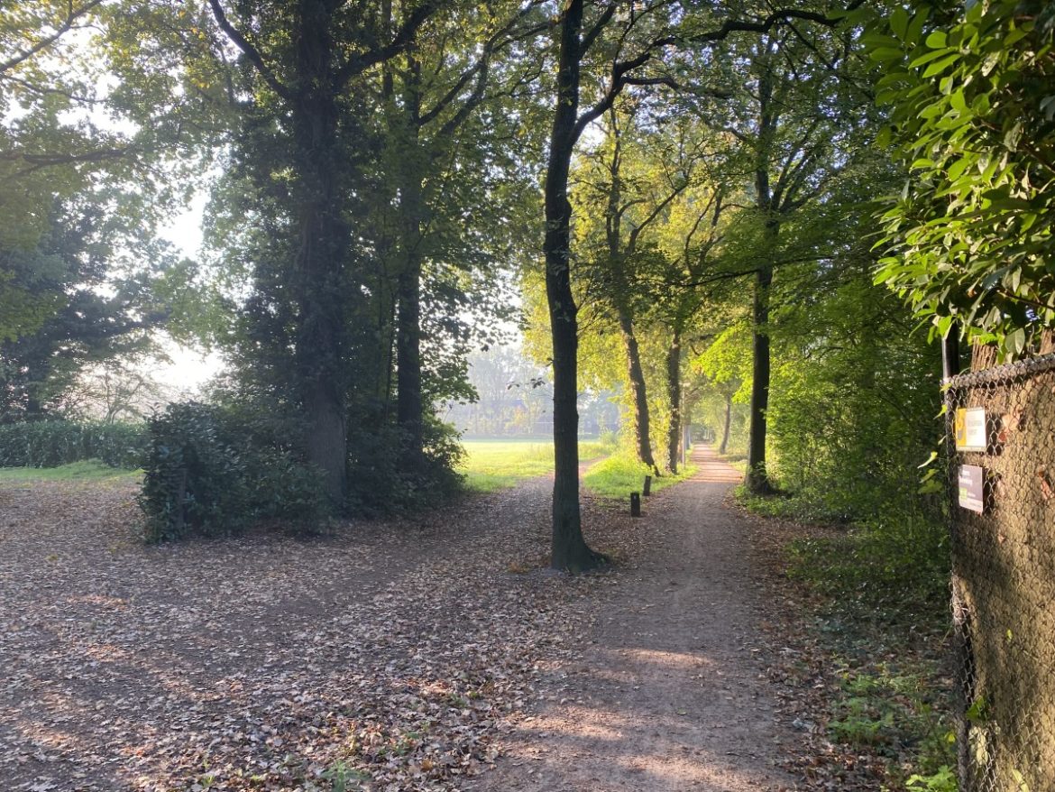 Maandag: 2432x bekeken + Top 10 meest gelezen berichten