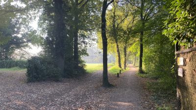 Maandag: 2432x bekeken + Top 10 meest gelezen berichten