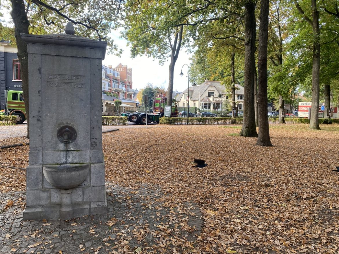 Zondag: 3001x bekeken +Top 10 meest gelezen berichten