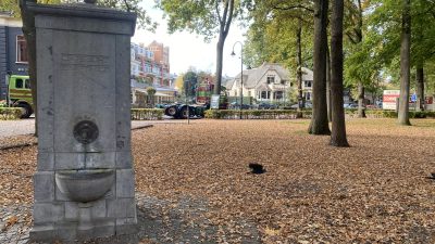 Zondag: 3001x bekeken +Top 10 meest gelezen berichten