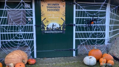 Dinsdag:1888 x bekeken +Top 10 meest gelezen berichten