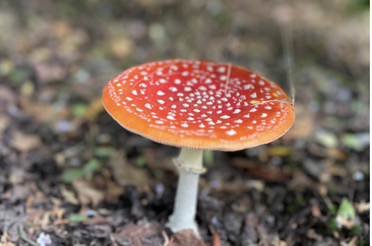 Vrijdag:2101x bekeken +Top 10 meest gelezen berichten