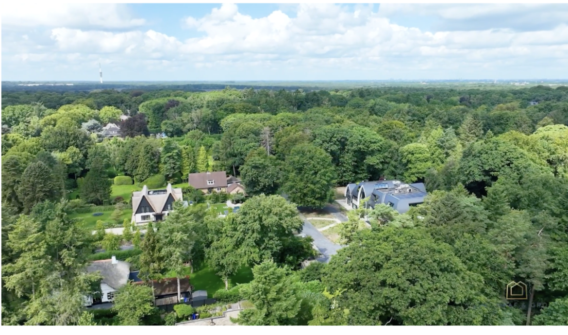 Zondag: 2628x bekeken +Top 10 meest gelezen berichten