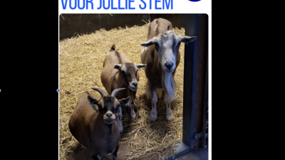 € 556,77! voor ‘Geitenweitje’