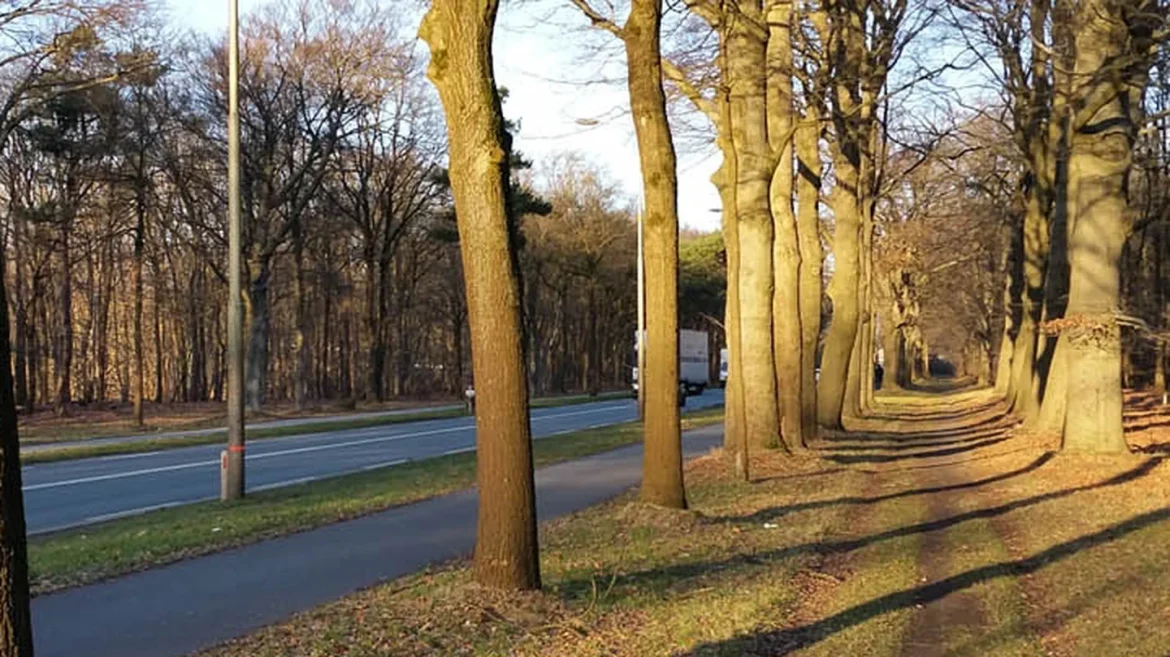 Kritiek op natuurbrug Laren: ‘Zonde van het geld en verlies voor wandelaars’