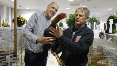 Kleindierenshow GPKV Gooi- en Eemland
