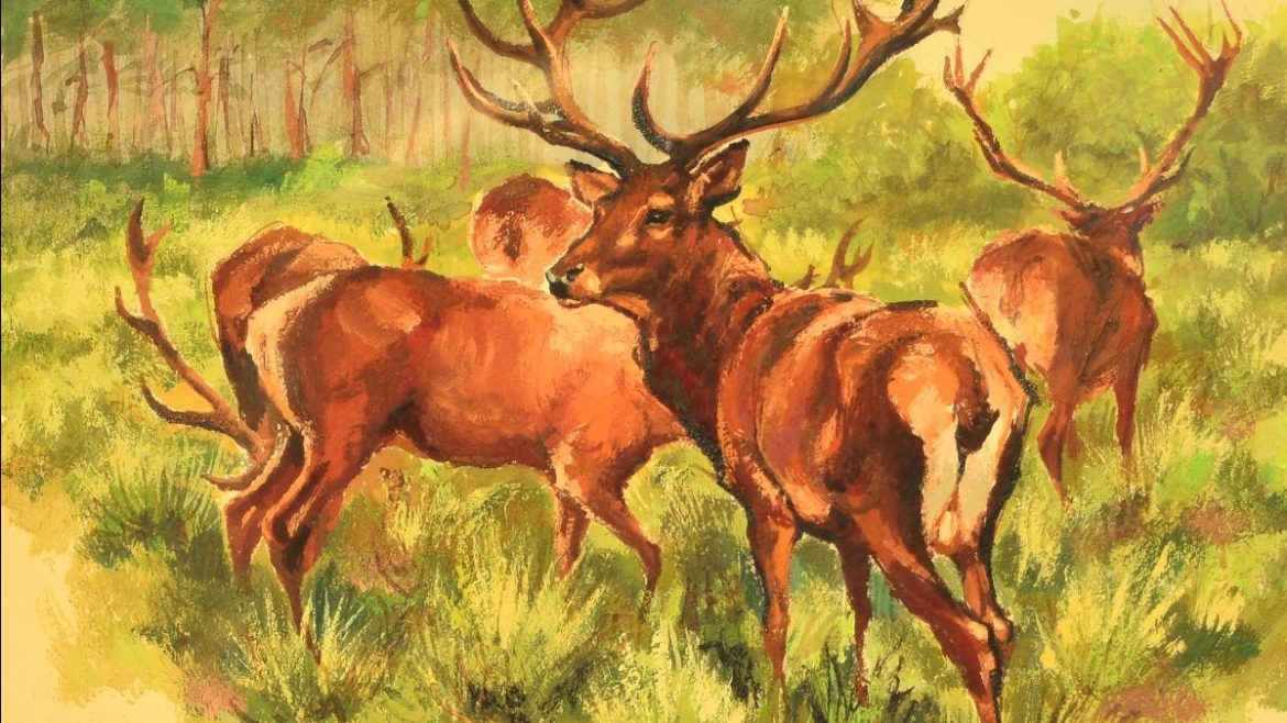 Live Zuydwal veilingen