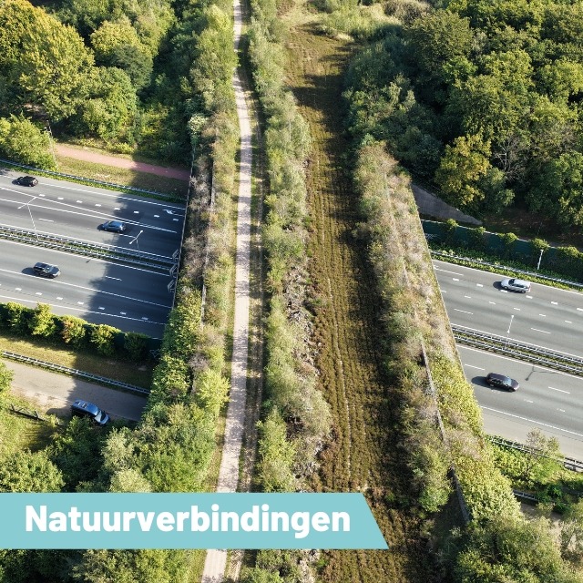 Kampioen Natuurverbindingen
