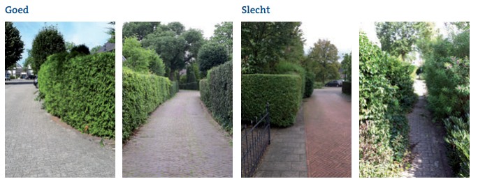 Voorkom overlast: snoei uw hagen op tijd