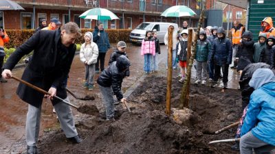 Nationale Boomfeestdag in Laren