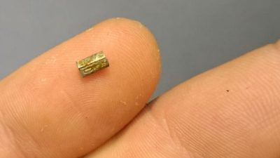 Op zoek naar vogelringen