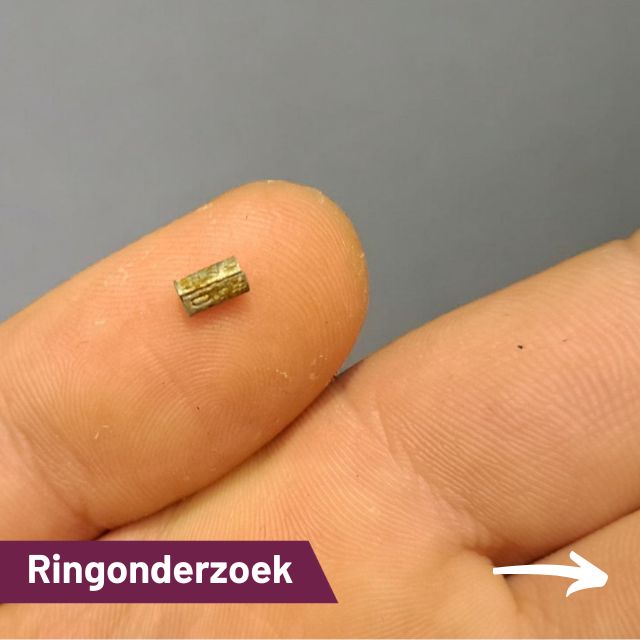 Op zoek naar vogelringen