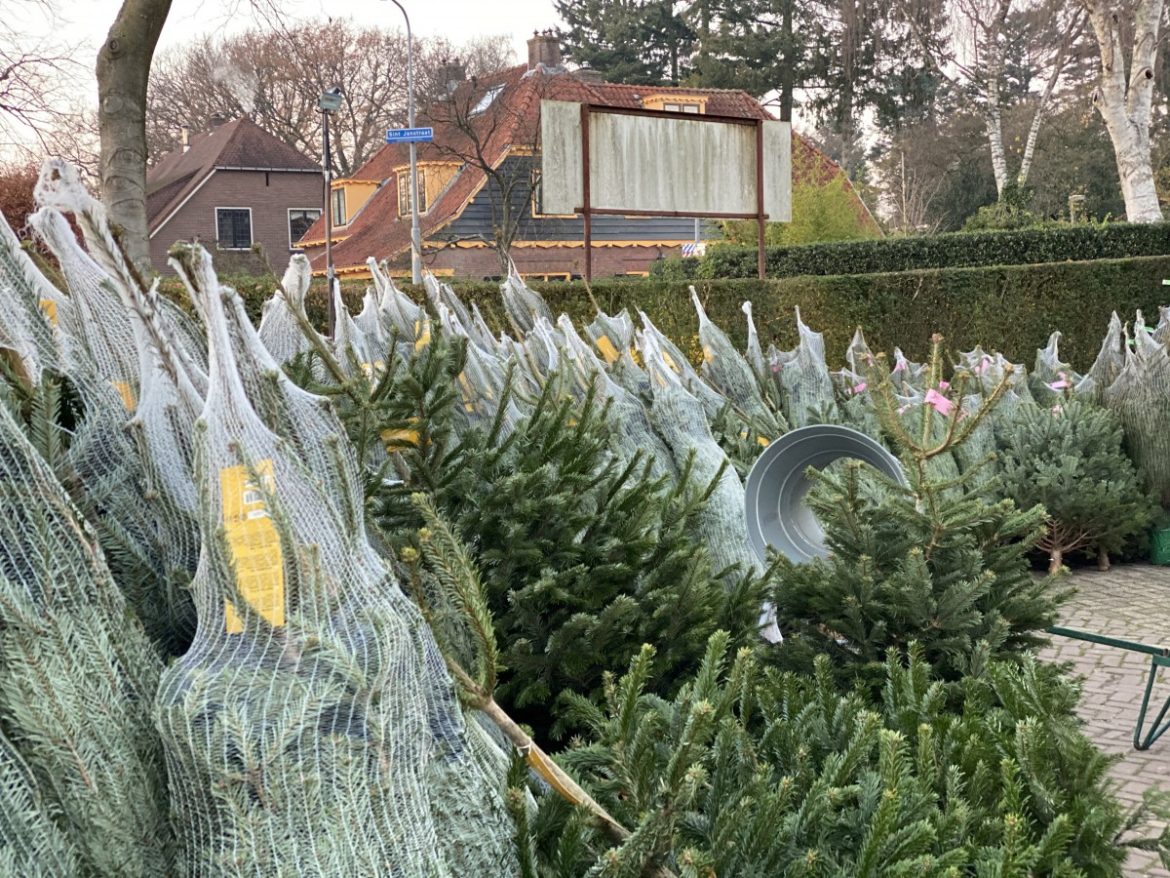 Feestdagen komen eraan; vergeet niet uw veiligheid!