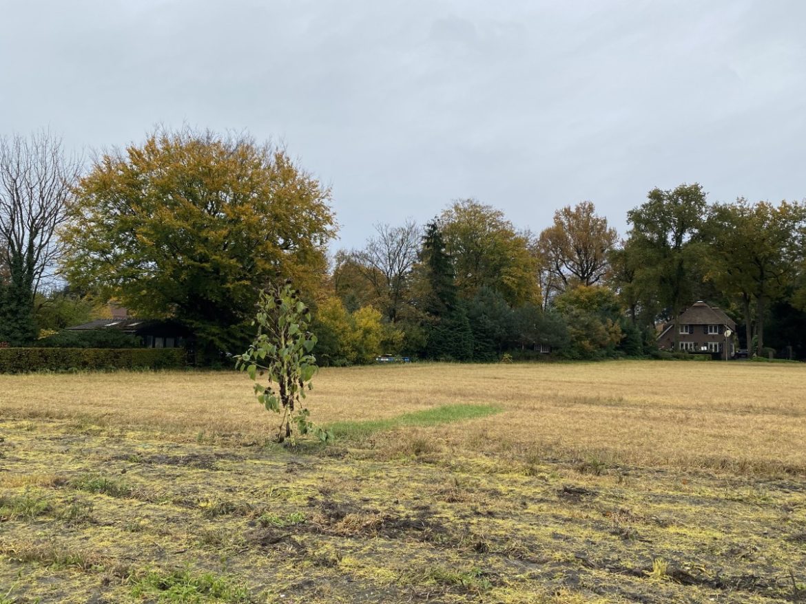 Maandag 1664x bekeken + Top 10 meest gelezen berichten