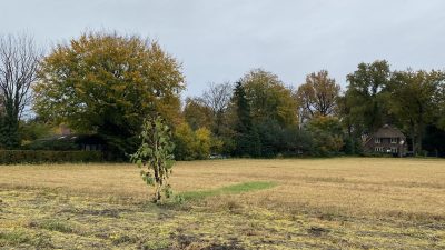 Maandag 1664x bekeken + Top 10 meest gelezen berichten