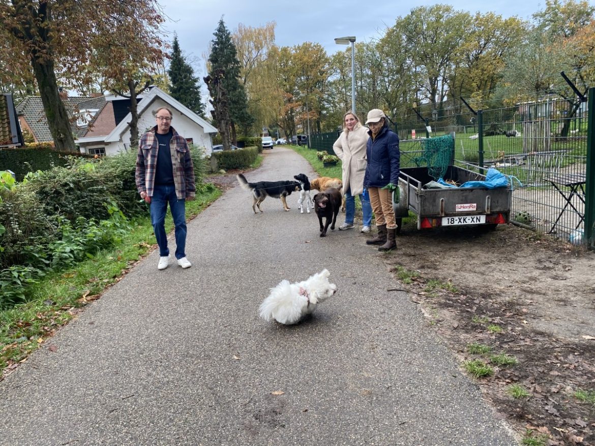 VVD Laren wil de hondenbelasting afschaffen en toeristen laten betalen