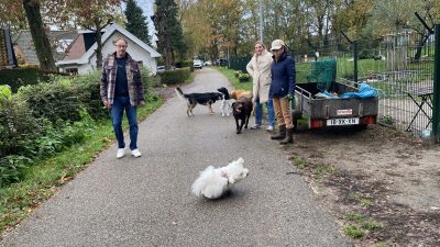 VVD Laren wil de hondenbelasting afschaffen en toeristen laten betalen