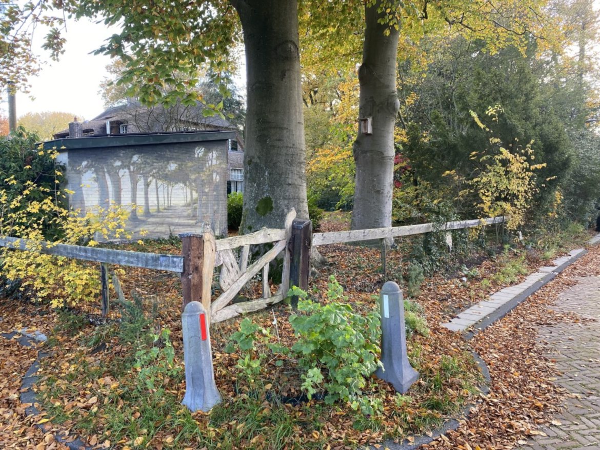 Woensdag: 1270x bekeken +Top 10 meest gelezen berichten