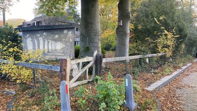 Woensdag: 1270x bekeken +Top 10 meest gelezen berichten