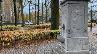 Maandag: 1873x bekeken +Top 10 meest gelezen berichten