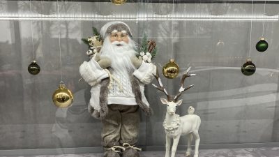 Dinsdag: 1556x bekeken +Top 10 meest gelezen berichten