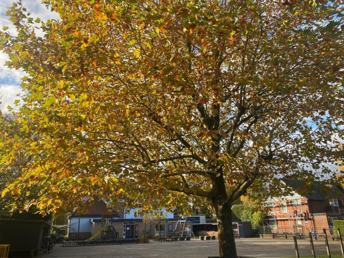 Zaterdag: 2498 x bekeken +Top 10 meest gelezen berichten