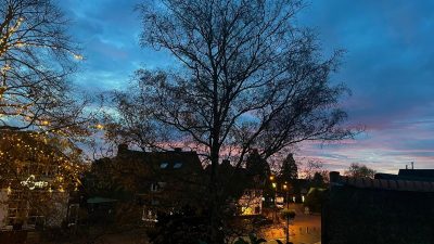 Woensdag:1372x bekeken +Top 10 meest gelezen berichten