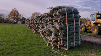 GooischeKerstbomen.nl zorgt voor sfeer bij Huis van Eemnes