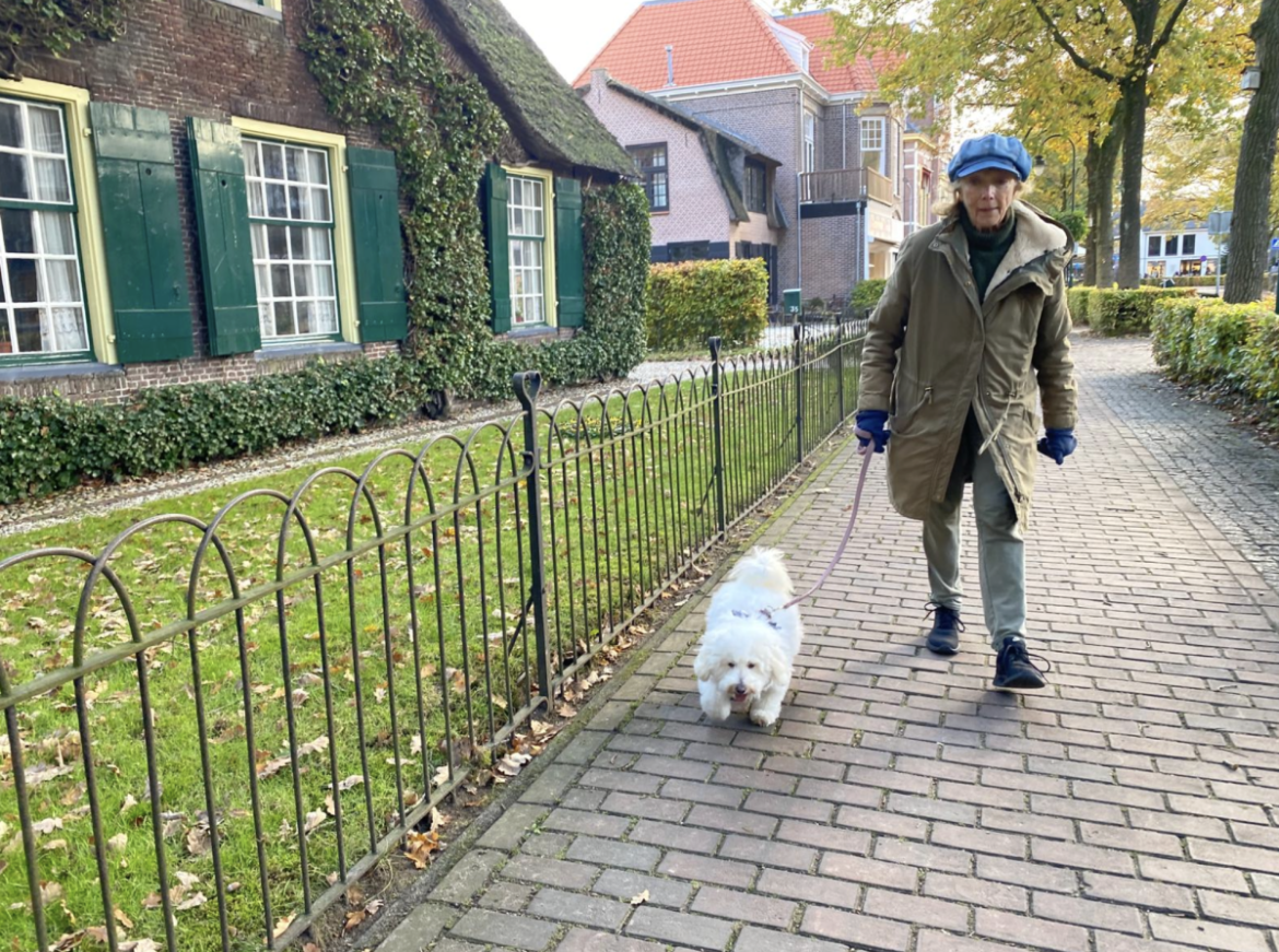 Vrijdag: 2269x bekeken + Top 10 meest gelezen berichten